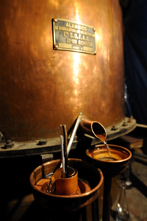 Armagnac Gelas - Terroir | Armagnac South West | Gascony